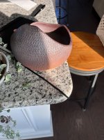 IMG_9318.jpeg