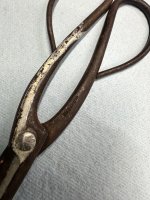 IMG_9160.jpeg