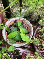 IMG_9440.jpeg