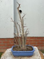 IMG_3988.jpeg