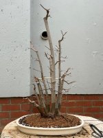 IMG_3994.jpeg