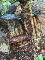 IMG_6098.jpeg