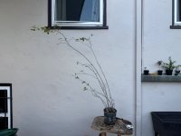 IMG_7835.jpeg