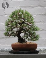 JBP-02_Repot 0825 IG_01.jpg