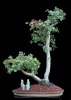 CLO-S-08-Penjing.jpg