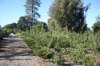 IMG_4712sm.jpg