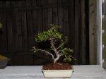 DSC01035.JPG