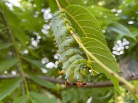 IMG_4944.jpeg