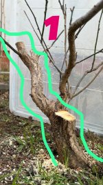 0AE80C0A-6DA2-4204-A682-086EBACEAA17.jpeg