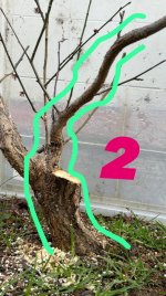 7AB9039E-1CF9-49A6-ABEF-E0DDDA4FBB0E.jpeg