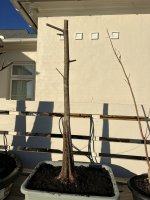 IMG_6268.JPEG