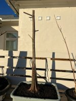 IMG_6268.JPEG