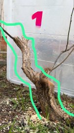 0AE80C0A-6DA2-4204-A682-086EBACEAA17.jpeg