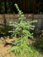 IMG_3864.jpeg