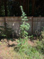 IMG_3869.jpeg