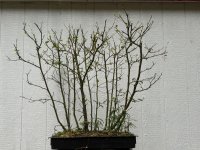 IMG_3724.jpeg