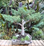 IMG_20250819_091636[1].jpg