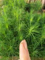 20250823_072908.jpg