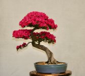 IMG_1972.JPG