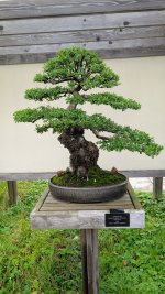 PXL_20250823_153533429.jpg