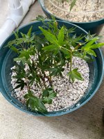 IMG_6659.jpeg