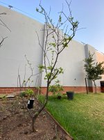IMG_7406.jpeg