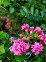 20250824_070200.jpg