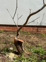 IMG_4092.jpeg