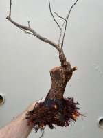 IMG_4103.jpeg