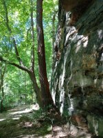 Gorge park+.jpg
