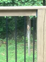 IMG_1567.jpeg