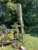 IMG_5922.jpeg