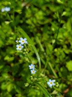 20250827_130924.jpg