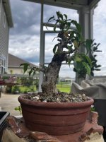 IMG_9507.jpeg
