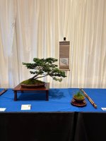 IMG_4397.jpeg