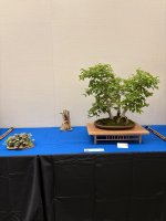 IMG_4394.jpeg