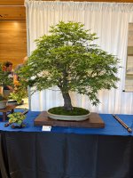 IMG_4392.jpeg