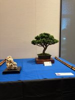 IMG_4391.jpeg