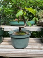 IMG_6647.jpeg IMG_6647.jpeg