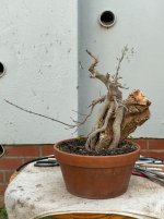 IMG_4139.jpeg