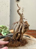 IMG_4140.jpeg
