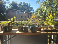 Screenshot 2025-09-01 at 12.32.09 PM.png