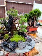 IMG20250831185601-EDIT.jpg