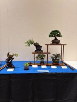 IMG_4418.jpeg