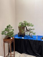 IMG_4415.jpeg