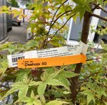 IMG_4361.jpeg