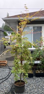 IMG_4363.jpeg