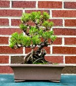 IMG_4825.jpeg