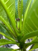 IMG_6724.jpeg