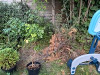 IMG_7739.jpeg